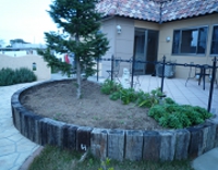 P1020114.JPG
