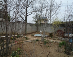P1020544.JPG