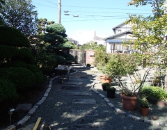 P1010002.JPG