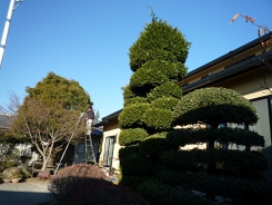 P1020185.JPG