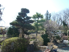 P1020458.JPG