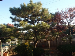 PB190121.JPG