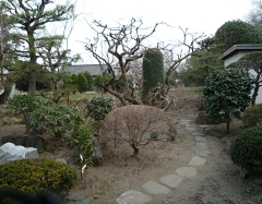 P1020540.JPG