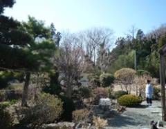 P1020459.JPG