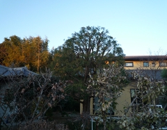 P1020195.JPG