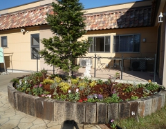 P1020122.JPG